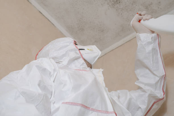 Reliable Mitchellville, IA Mold Removal Solutions